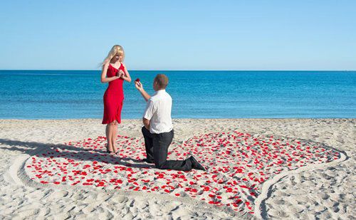 本宮敬你是條漢子，快來(lái)娶我吧