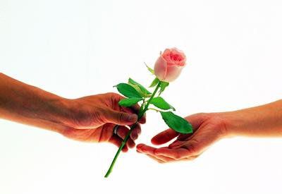 情人節(jié)的玫瑰