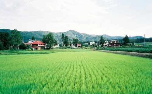 很簡單的一個故事，看完你會懂愛的真諦！