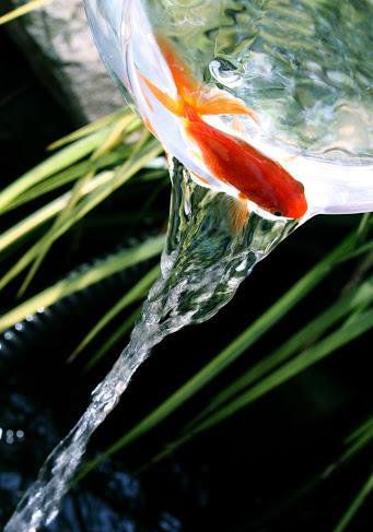 沒(méi)有在一起