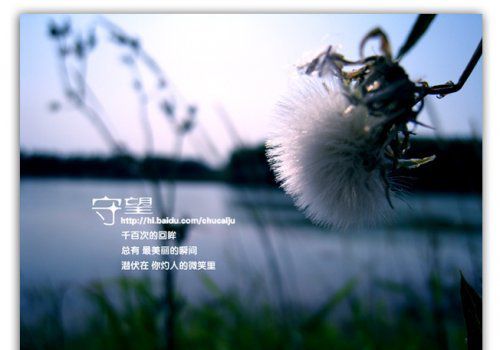 找回遺失的美好