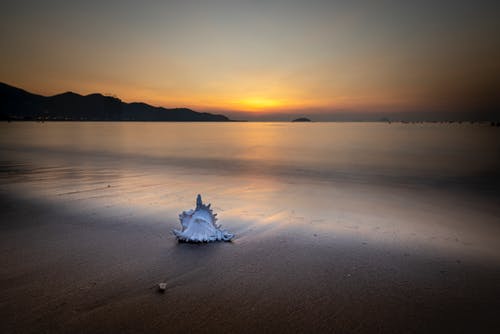 人教版五年級上冊八單元作文我愛看的革命影視作品《紅巖》 人教版五年級上冊八單元作文我愛看的革命影視作品《紅巖》