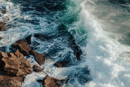 五年級狀物作文竹(三) 五年級狀物作文竹(三)