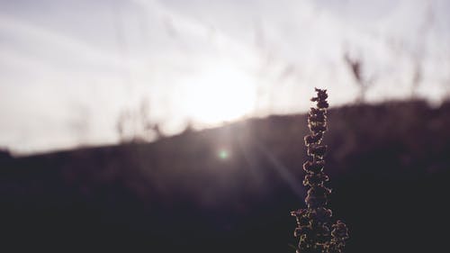 連載中重生之文娛教父小說諸葛明方正中章節(jié)閱讀