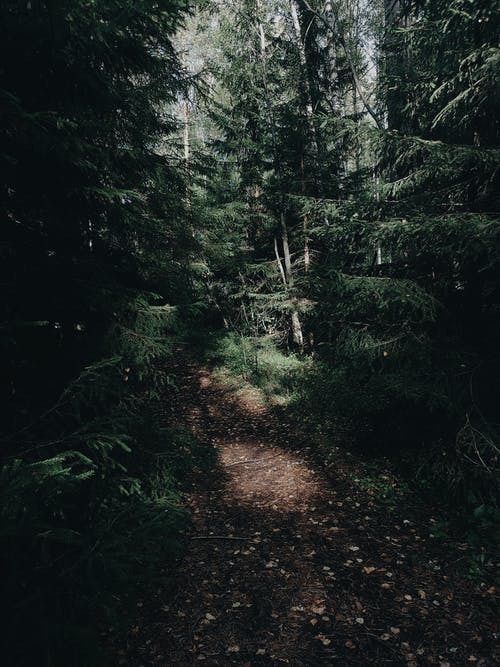 小學寫“照片作文”要注意什么