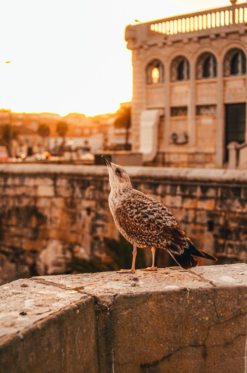 機(jī)遇與成功的關(guān)系名言警句精選集