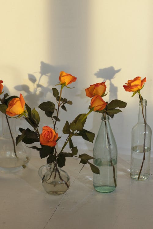 六元錢(qián)買(mǎi)下愛(ài)的美文 六元錢(qián)買(mǎi)下愛(ài)的美文