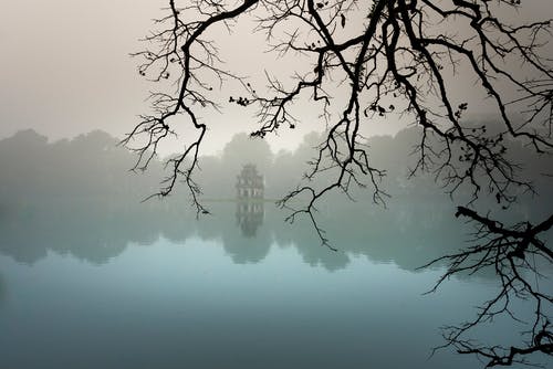 2020年優(yōu)美的婦女節(jié)祝福語(yǔ)微信合集44句