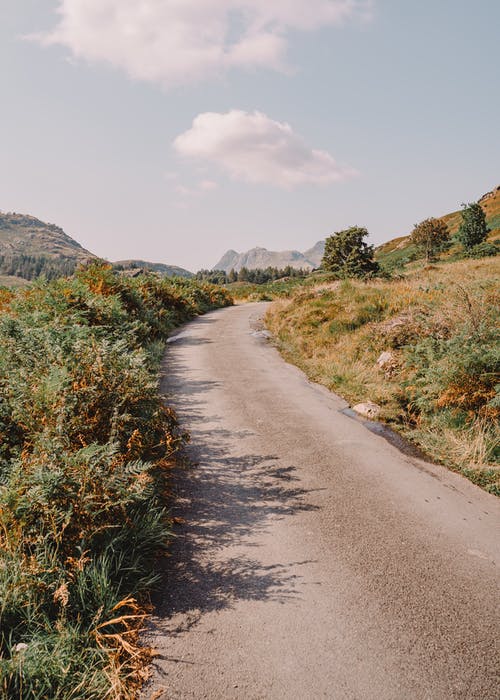 熱門重生之敗家子小說李秀林明美在線閱讀