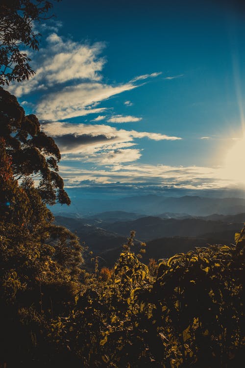 愛(ài)情祝福語(yǔ)52句