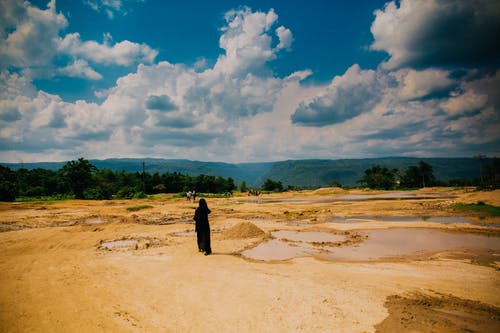 極品神醫(yī)贅婿秦十安小說雨的聲音無彈窗閱讀