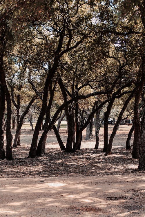 平安夜的經(jīng)典祝福語錄