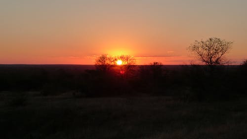 大唐庶子皇帝穿越小說李恪李世民無錯版閱讀