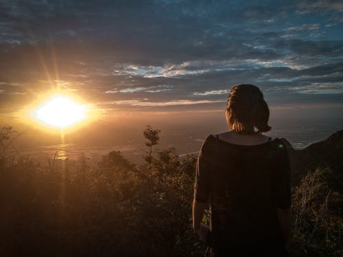 寫作基礎(chǔ):作文語言怎樣出“新” 寫作基礎(chǔ):作文語言怎樣出“新”