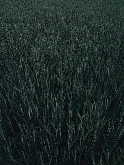 老朋友之間的相處之道 老朋友之間的相處之道