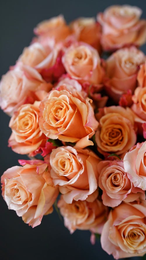 五年級狀物作文抹茶拿鐵 五年級狀物作文抹茶拿鐵