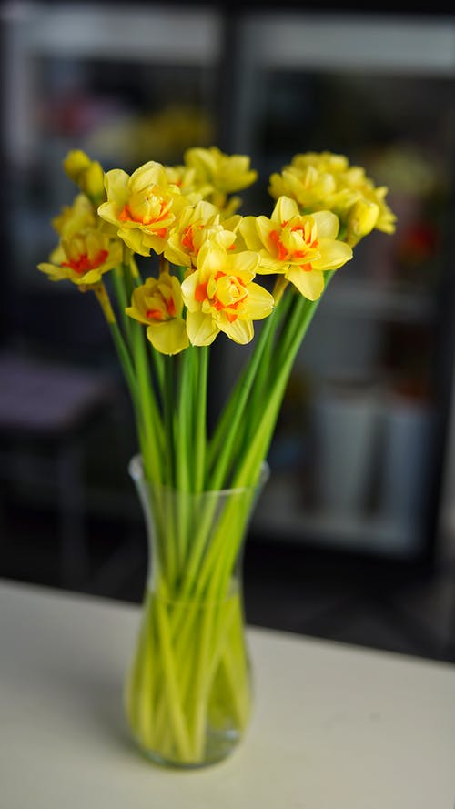 返老還童英文臺詞