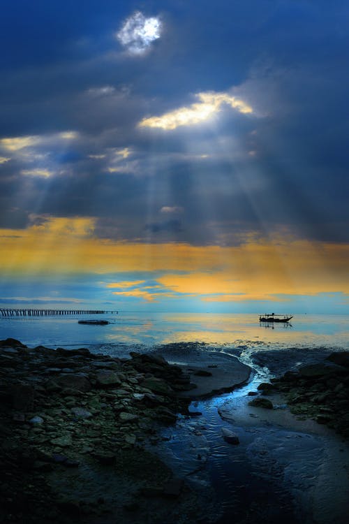 實用的我的日記范文錦集5篇 實用的我的日記范文錦集5篇