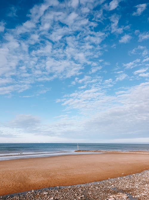 異能絕色總裁的貼身保安小說張路許思雨全文閱讀