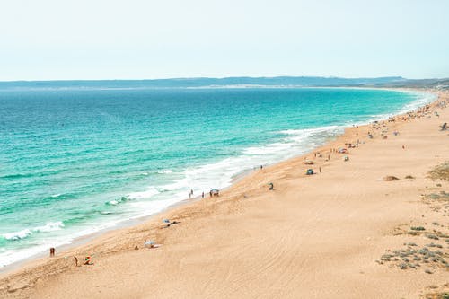 高一歷史教學(xué)反思隨筆