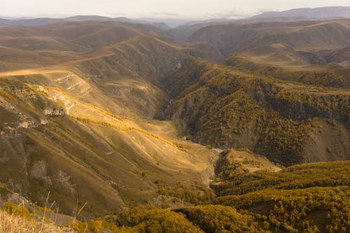趙小花賀謙之賀元小說抖音穿越農家完結版閱讀