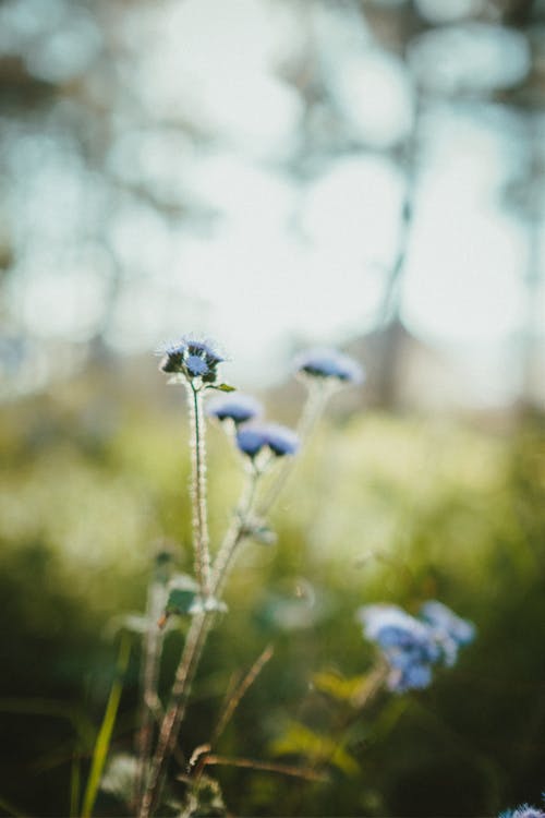 大染坊經(jīng)典臺詞