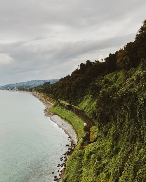 閱讀，我該拿你怎么辦？