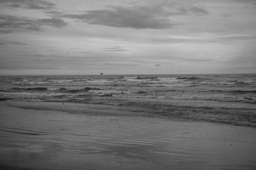 帶著七個小姐姐荒島求生陳風洛洛小說完整版閱讀