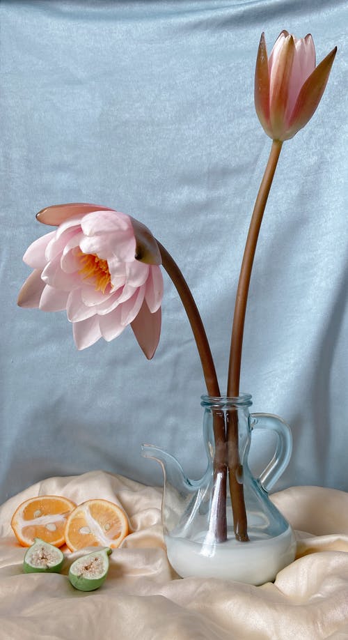 2020年暖心重陽節(jié)祝福語集錦37句