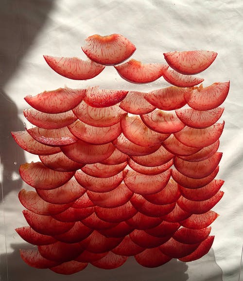 西游我的徒弟太逆天男主角任元小說在線閱讀