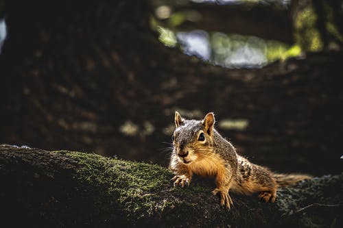 人生，由我不由天美文