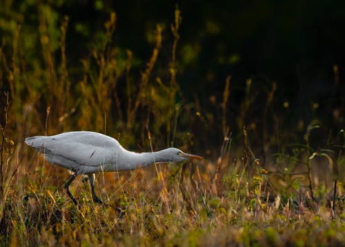 2021年暖心小滿祝福語摘錄58條