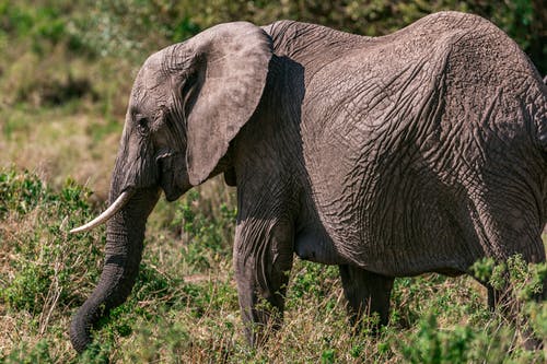 《水仙子 和盧疏齋西湖》原文及翻譯賞析