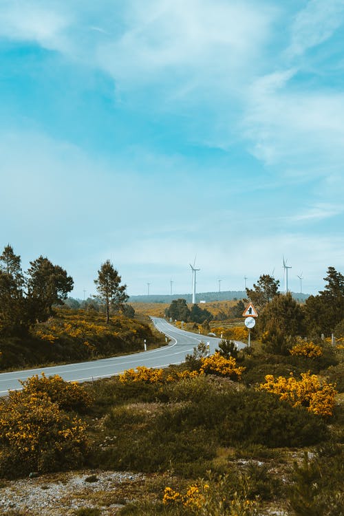 關(guān)于描寫荷花的詩句