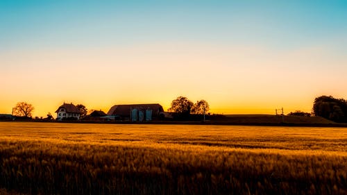 滿江紅·點(diǎn)火櫻桃翻譯賞析