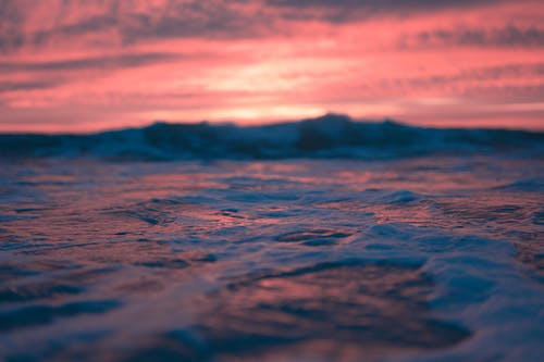 五年級(jí)散文天涯碧草話斜陽(yáng)