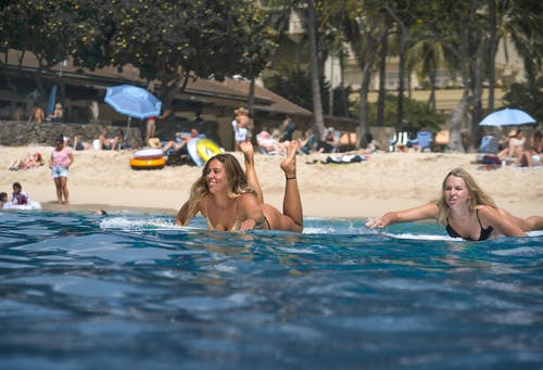 柳宗元《樂府雜曲鼓吹鐃歌獸之窮》的詩詞鑒賞