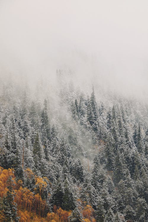 祝小滿快樂(lè)的祝福語(yǔ)集合53句