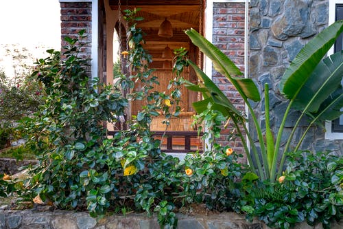 葬龍窟靈異小說陳解陽方婷無彈窗閱讀 葬龍窟靈異小說陳解陽方婷無彈窗閱讀