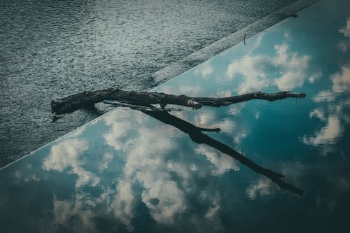 開學(xué)隨筆初三作文 開學(xué)隨筆初三作文