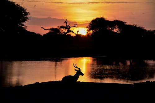 解讀什么是讀書筆記？