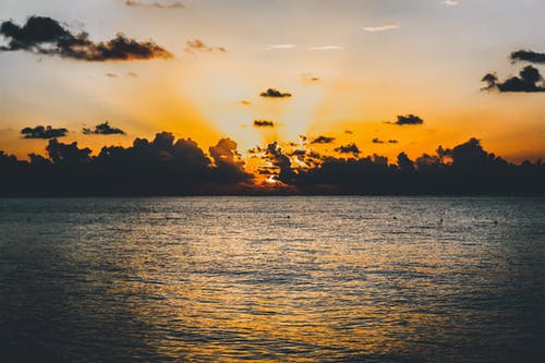 關于描寫春的詩句