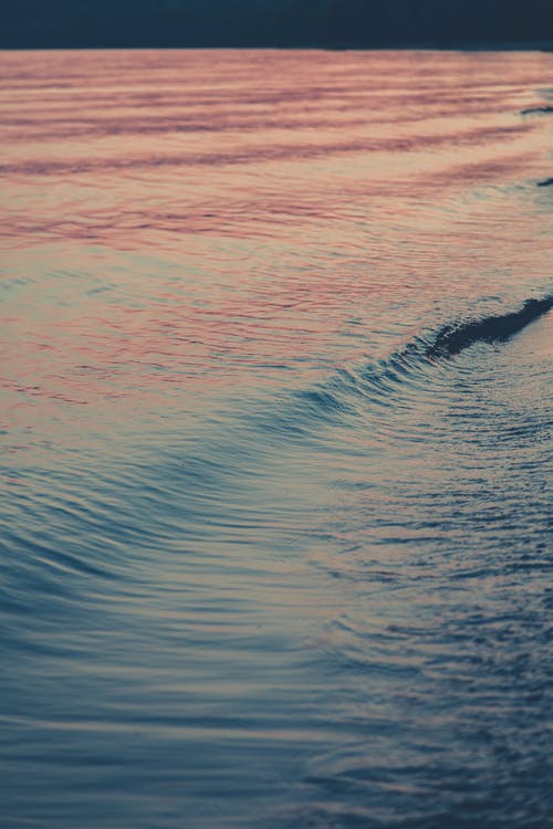 《阿飛正傳》經(jīng)典臺(tái)詞