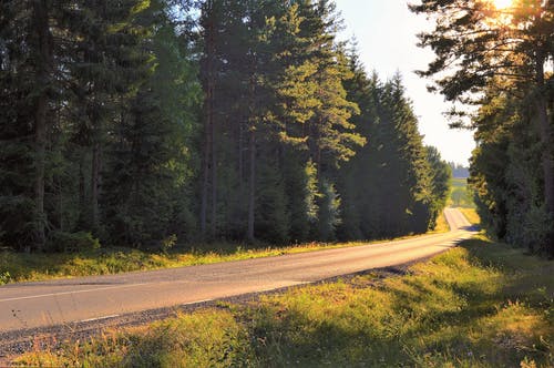 幼兒教師隨筆:奇妙的光 幼兒教師隨筆:奇妙的光