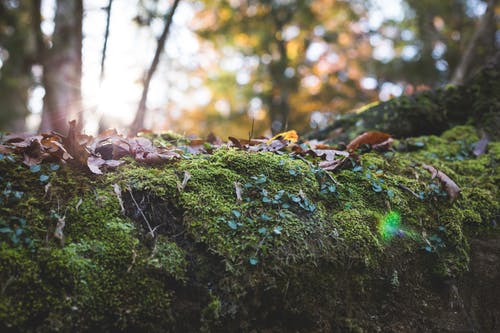 2020年表達(dá)大暑快樂(lè)的祝福語(yǔ)合集35句