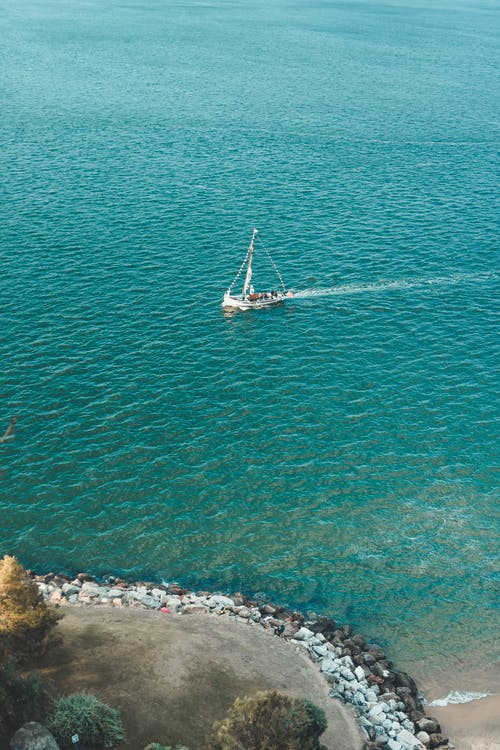 五年級(jí)英語作文My Favourite Flower 五年級(jí)英語作文My Favourite Flower