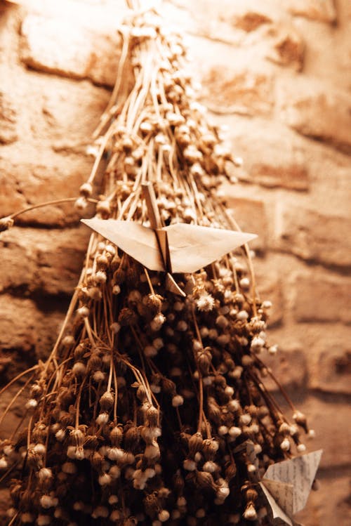 五年級話題作文讀書趣 五年級話題作文讀書趣