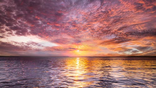 2020年優(yōu)美文藝句子合集56句 2020年優(yōu)美文藝句子合集56句