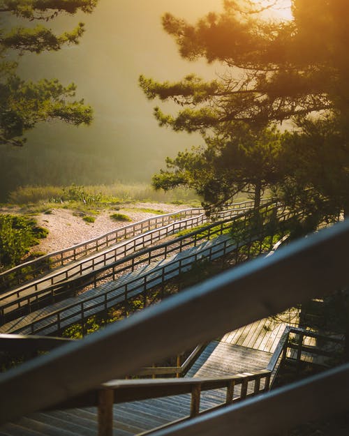 優(yōu)美的春節(jié)祝福語微信42條 優(yōu)美的春節(jié)祝福語微信42條