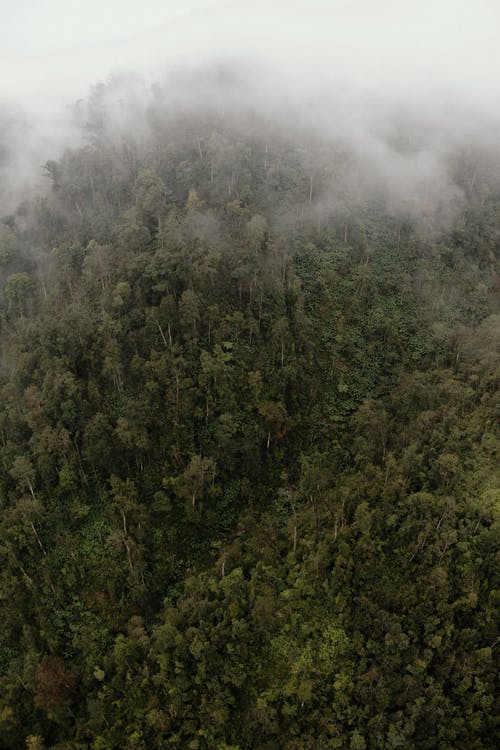 心情句子：沒有經(jīng)歷過的人，沒有對于他的意義